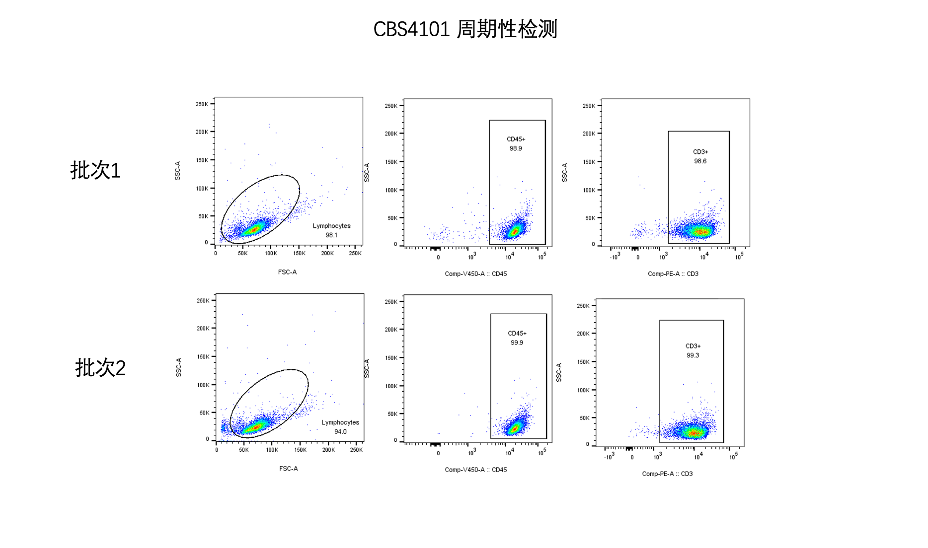 英诺思内部验证数据：CBS4101 两个批次小鼠 CD3 T 细胞有柱阴选设门链（Lymphocytes → CD45+ → CD3+）