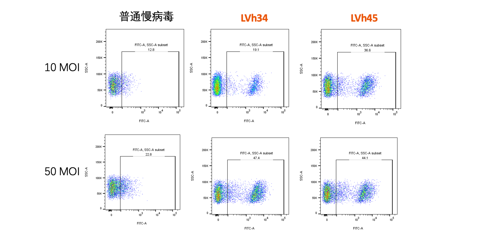 KG-1 细胞中普通慢病毒与靶向性慢病毒 LVh34、LVh45 在 10 MOI 与 50 MOI 条件下的感染效率对比（流式细胞术，FITC 通道）