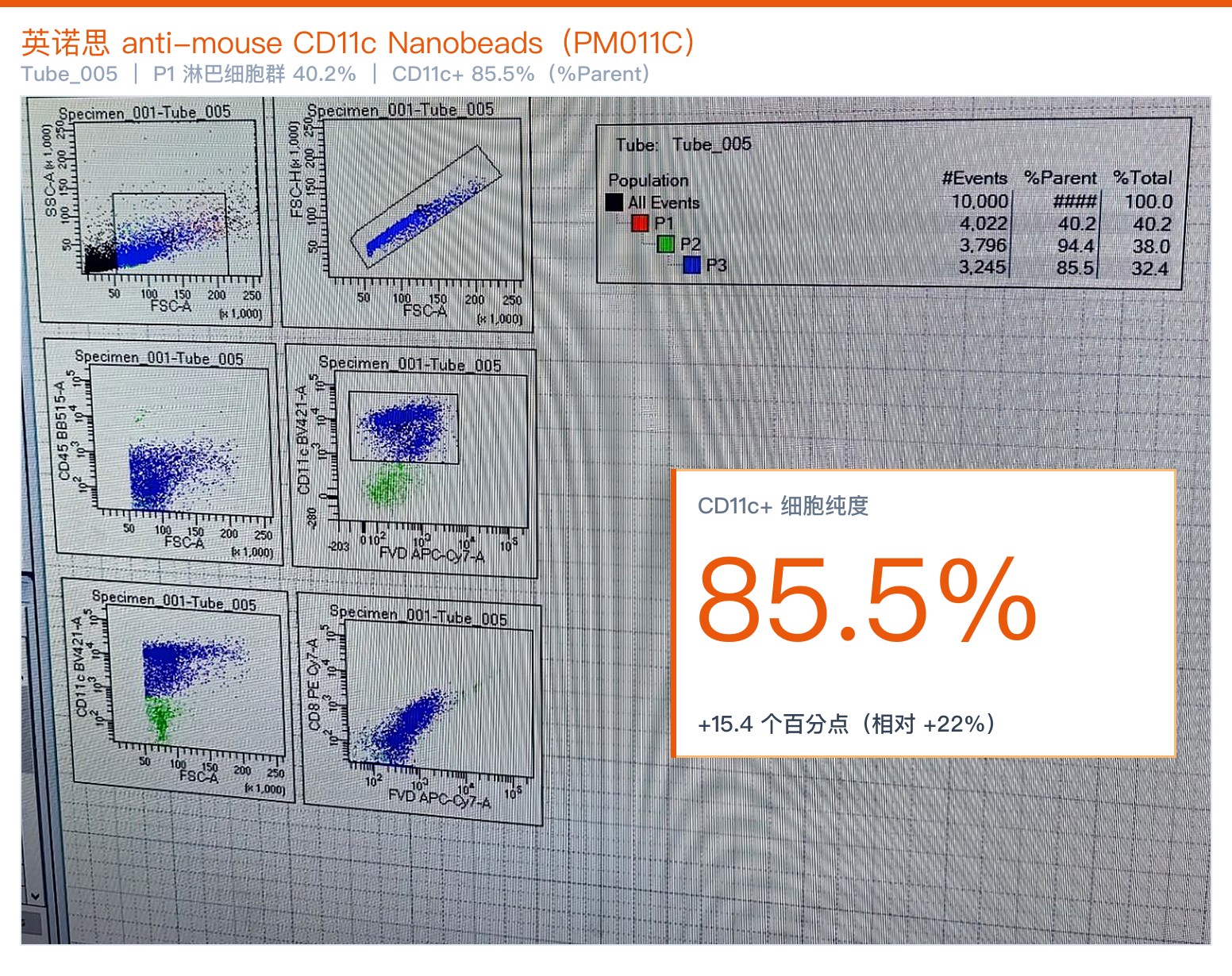 英诺思 PM011C 分选小鼠脾脏 CD11c⁺ 细胞的流式图与统计表：P1 淋巴细胞群 40.2%、P2 94.4%、P3（CD11c⁺）85.5%