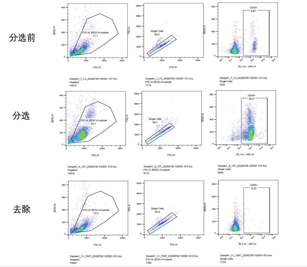 客户反馈流式原始数据：PM045 分选前三管 CD45 设门（分选前 8.87%、阳选产物 95.0%、流穿液 0.33%）